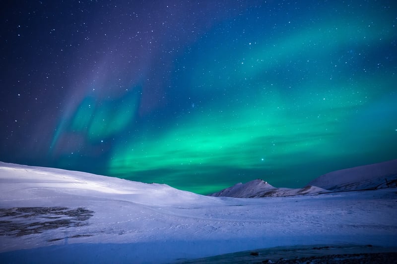 Wilderness Nights